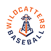 Houston Wildcatters Baseball logo